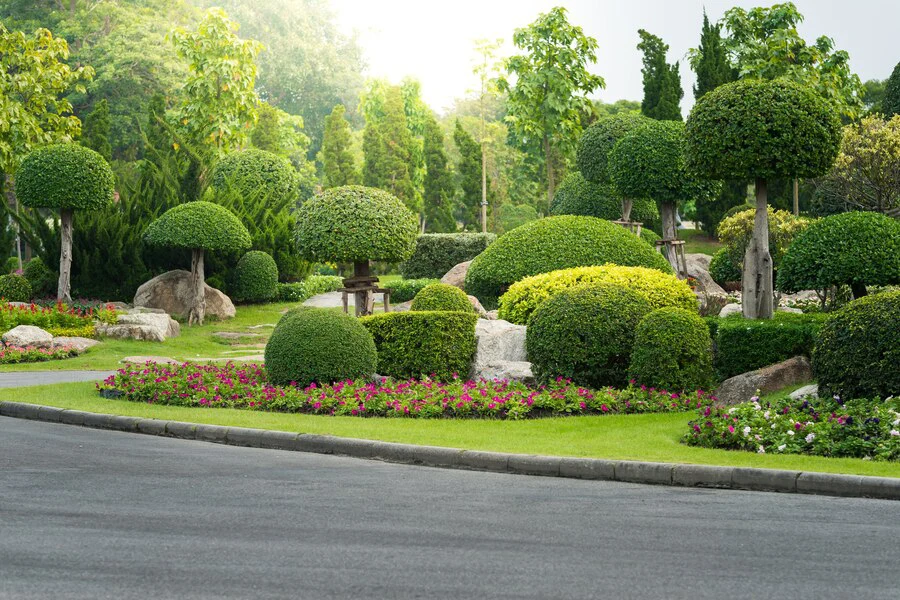 Landscaping With Decorative Trees